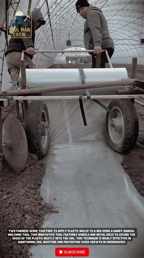 Efficient Plastic Mulch Layer Machine in Action! (Homemade Farming Innovation)