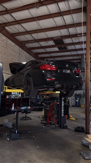 BIMMERSPEED FL on Instagram: "Chalupa Joe seems like he slither his way into another episode..... Customer came in with complaints of the transmission being noisy with other aspects of failure. I took the transmission down and found that all the flywheel bolts were completely loose, not a single one tight with a ton of them sheared out... That slithering bastard seems to always make my day a living hell. I am hoping the crankshaft is OK! #bmw #fseries #eseries #n20 #b48 #n52 #n54 #n55 #b48 #b58 