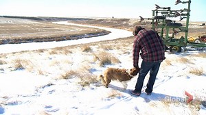 Testing phase underway to see how new land access app works in rural Sask.