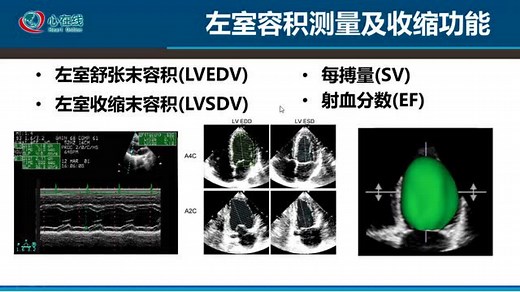 【微课堂】ECHO基础篇：超声心动图常规测量（1）