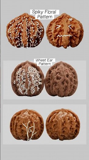 One minute small lecture for 6 different wenwan patterns #walnut