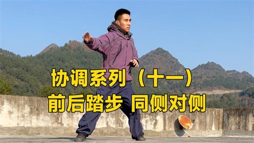 身体底层动作模式的切换 - Movement Culture