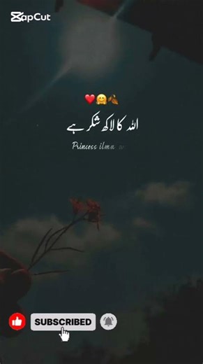 Shukar Ada Karo | Allah Ki Naimaton Ka Shukar | Islamic Reminder