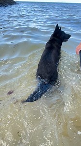 Beach day , last month of summer | Michelle Diaman