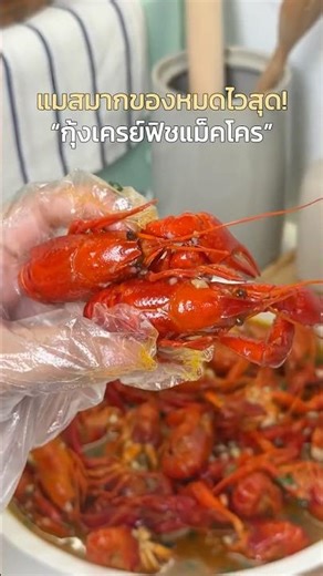 #ใหม่ “กุ้งเครย์ฟิชกระเทียม” แม็คโคร หอมกระเทียมมันๆ แกะกินเพลินมาก 🦞😋#รีวิวแม็คโคร #กุ้งเครย์ฟิช