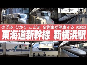 新横浜駅 全列車が停車 | 東海道新幹線 のぞみ・ひかり・こだま #東海道新幹線2023
