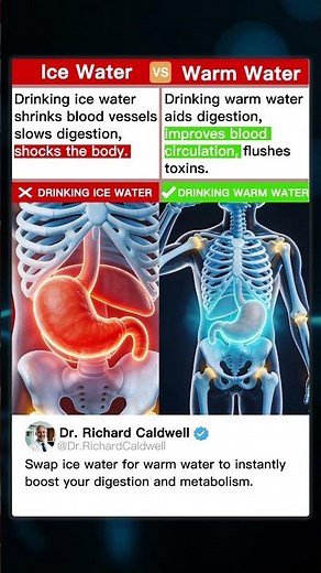 Warm Water vs Ice Water Which is BEST For Your Body?