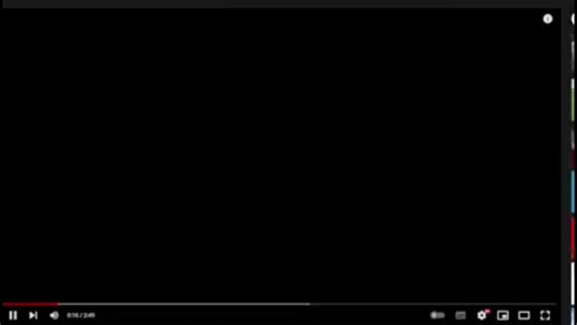 Adorable Hamster Moments: Jumping, Eating, and Swimming