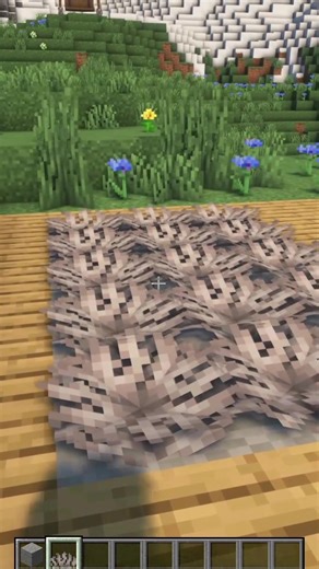 Creative Minecraft Carpet Design Ideas