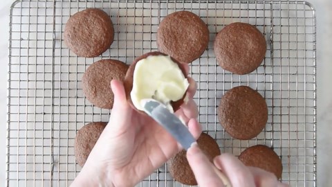 Crispy & Crunchy Lemon Ginger Cream Sandwich Cookies