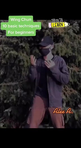 Wing Chun 10 basic techniques for beginners #wingchun #vingtsun #wingtsun #wingchunforbeginners #learnwingchun #wingchuntechniques #wingchunbasic