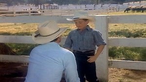 Watch Dallas Season 14 Episode 6 - Heart and Soul