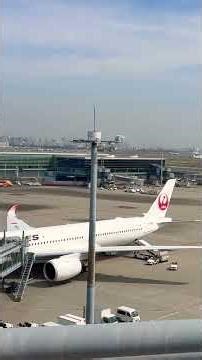 羽田空港【JAL】第3ターミナル2026.4.19#airplane #haneda#a350