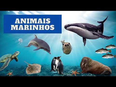 SOM DA NATUREZA: NOMES E SONS DOS ANIMAIS MARINHOS
