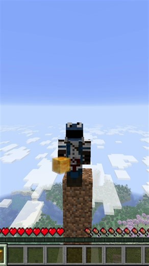 Perfekte Ausführung