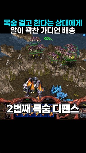 목숨 걸고 한다는 상대에게 알 꽉찬 꽃게 가디언 배송