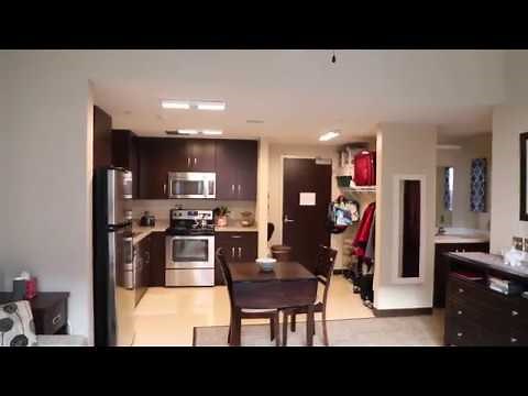 Wolf Ridge NC State University RD Apartment