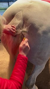 2.5M views · 5.9K reactions | It's time to start thinking about trimming and tidying as the competition season is fast approaching  We couldn't live without our Smart Tails for quick, pain free tail tidying after our horses winter holidays. What are your go to trimming and tidying tools? ✨ Shop our full trimming and tidying range here - https://buff.ly/3fLfbdZ | Smart Grooming | Facebook