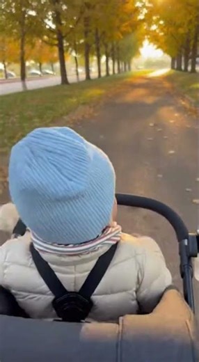 Baby’s Evening Walk with Puppy 🌅👶 | Cutest Stroller Adventure 🐶❤️