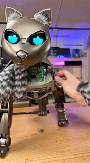 Final day of making my robotics cat #explore #lifestyle #tech # technology