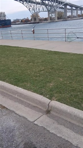 #ships #freighter #boat #shipping #usa