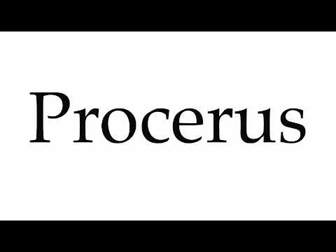 How to Pronounce Procerus