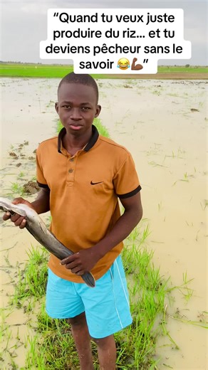 De la culture du riz à la pêche sans le vouloir