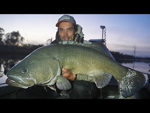 Catching Murray Cod at Lake Mulwala