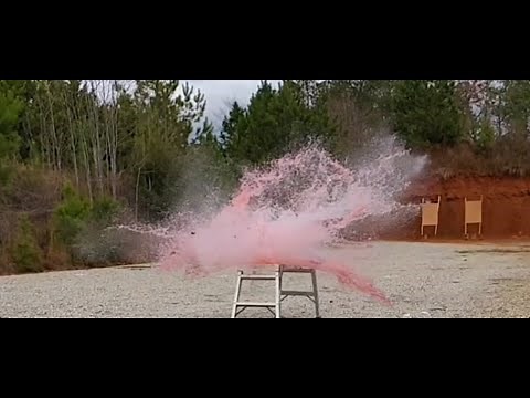 American Reserves Munitions Gatekeeper 12 gauge slugs (ARM) Phenom or Failure???