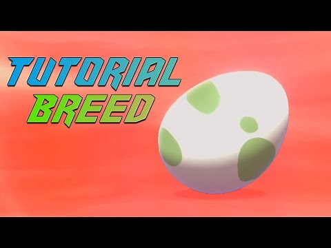 COMO BREEDAR POKÉMON! | Pokémon Sword & Shield TUTORIAIS