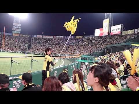 甲子園・阪神私設応援団、凛とした女性応援団員さんです。