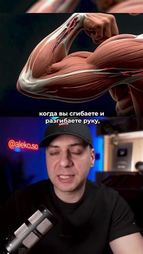 ИСКУССТВЕННЫЕ МЫШЦЫ ИЗ MIT