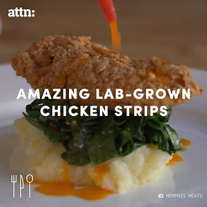 11M views · 10K reactions | These lab-grown chicken tenders taste just like real chicken. | ATTN: | Facebook