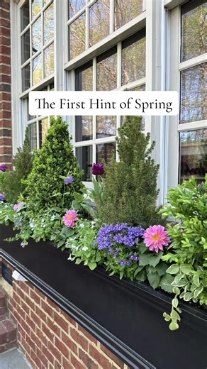 Protecting Spring Containers from Frost