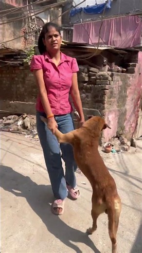 Rescued a Street Dog With Maggots in His Neck 😢 | Real Rescue Story | #shorts #trending