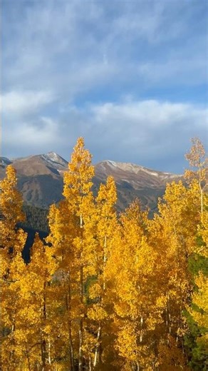 Hiking Through Golden Aspens | Colorado Rockies Fall Morning