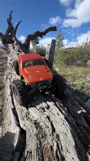 SCX10 Pro #scalerc #rcoffoad #radiocontrol #axial #rccrawler