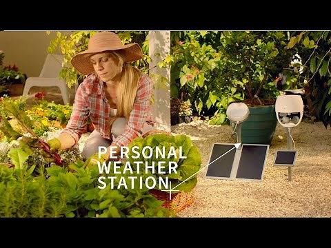 Personal Weather Stations and Gardening