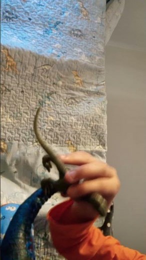 Zilla (1998) vs Godzilla (2014) 🐊🦕🦖