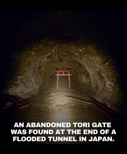 History|UFO|Places|Travel🌎 on Instagram: "Deep inside a flooded tunnel in Kani City, Japan, stands a single Torii gate that once marked the entrance to the Amagamine Ochobo Inari Shrine. What’s now an eerie underground site used to be part of a festival space, abandoned after severe flooding made it inaccessible. Torii gates in Shinto mark the border between everyday life and sacred spaces, symbolizing a passage into the realm of the gods. This one, hidden in a dark water-filled tunnel, carries