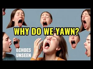 Why We Yawn: The Science Explained. #contagious