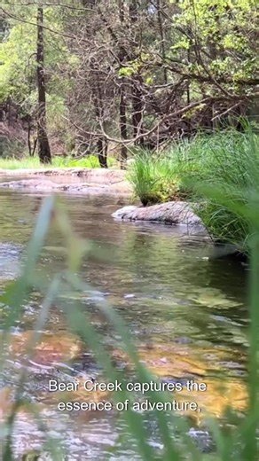 Mississippi’s hidden mountain river 🌊⛰️ — Bear Creek in Tishomingo County. Follow for more Southern wild places.”