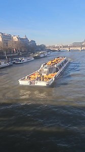 26K views · 506 reactions | Bateaux Mouches | Bikash Update | Facebook