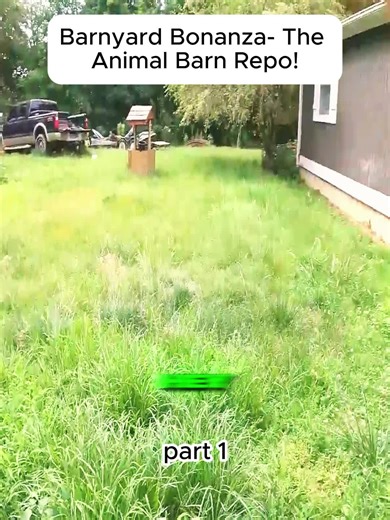 #amish #work #repo #cheapcars