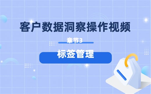 章节3 标签管理丨客户数据洞察UserInsight操作视频