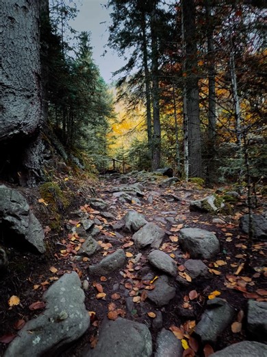 Explore with Silvia on Reels