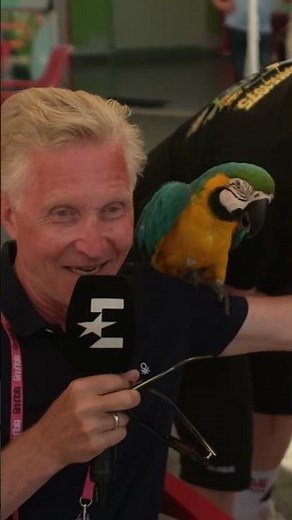 Brian Holm har fugletække🦜