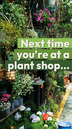 92K views · 2.4K reactions | The plants need you! Become a Plant...