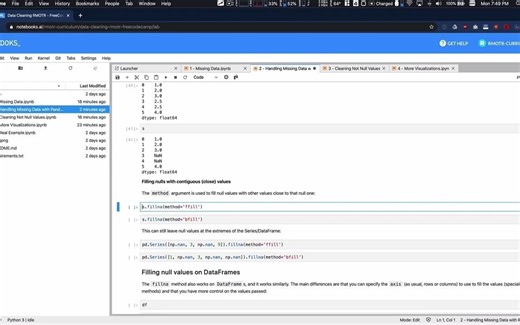 Data Cleaning with DataFrames - Data Analysis with Python Course
