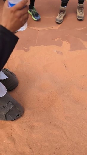 Understanding Sandstone Formation Through Weathering Processes